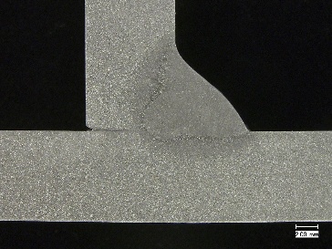 cordon PB mélange Ferroline X4